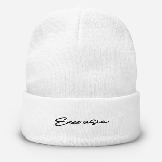 Exousia Embroidered Beanie